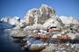 Lofoten VIP PRIVATE tour from Svolvaer