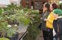 Tour to Gardenia Shevardnadze Flea Market and Tbilisi Old Town