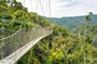 1 Day Canopy Walk Tour to Nyungwe NP