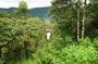 Full-Day Private Tour of Mindo Cloud Forest