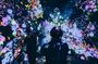 Tokyo Private Tour: teamLab Borderless & Tokyo City View