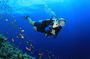 Discover Scuba diving with 2 dives on Koh Tao Or Koh Nangyuan
