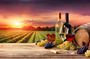 Madrid Wine Tasting Private Tour with Wine Expert