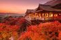 Kyoto 10-Hour Private Car Charter (Customizable, No Guide)