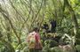 Paradise Valley & Atlas Mountains Guided Tour with Breakfast
