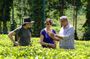 Half Day Thekkady Tea Trail Tour