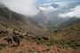 An adventure through the Berber villages and the Mountains