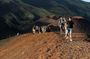 Mt. Etna Sunset Experience - Breathtaking Adventure from Catania