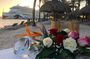 Best Highlight Island Tour - Perfect Day Tour. Small group Tour