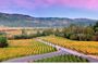 Napa Favorites 6 Hour Private Custom Wine Tour - Up to 4 Guests
