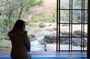 Kyoto Garden Secrets Led by an Architect PRIVATE Tour