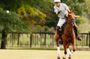 Polo Lessons from Buenos Aires by Polo Elite