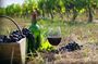 Private Wine Tour to Kakheti from Tbilisi