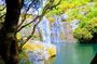 Hiking in Mauritius: Tamarind Falls (7 Cascades) With Hotel Transfer & Guide