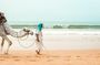 Sunset Camel Ride in Agadir Beach with BBQ