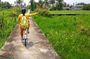 Private - A BIKING TOUR at Car-Free ISLAND incl LUNCH