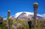 Trekking at Los Nevados National Natural Park