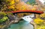 Private Nikko Tour with Hotel Pickup