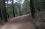 Madrid: Hiking Boutique in the Sierra de Guadarrama with Guide