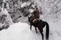 1 Hour Waterfalls Canyon Private Horse Riding in Smolyan