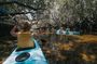 Dolphin Sanctuary Kayak Tour Adelaide