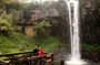 2-Day Camping Safari in Aberdare National Park from Nairobi