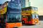 Best of Hamburg : City Sightseeing Hop-On Hop-Off Line G