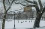 Prospect Park Boathouse Walking Tour Experience