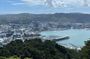 Wellington Full Day Private Tour in Tesla SUV - All inclusive