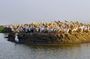 Senegal Safari Tour 14 Days/13 Nights