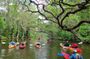 Scenic Half-Day Kayak or Paddleboard Rental – Dora Canal