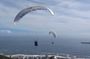 Private Paragliding Adventure and Constantia Wine Tasting Tour