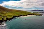 Dingle Dolphin Blasket Adventures