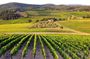 Private guided tour: Siena San Gimignano and Chianti