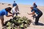 Walvis Bay and Swakopmund Treasures: Namibia’s Coastal Highlights