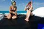 Shallow Water Snorkeling and Dolphin Watching in Key West