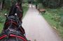 Killarney National Park Tour