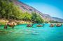 East of Salalah, Mountain Safari, Camels, Waterfall, White beach