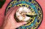 Sips and Savor: Mexico City’s Mezcal Tasting Adventure & Mariachi