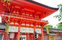 Kyoto: Walk Through History in Shimogamo’s Sacred Woods