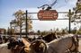 Ruby's Horseback Adventures Utah 1.5 Hour Ride