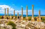 7-Day Lebanon Private Tour with Airport Pickup