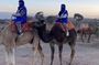 Small group to Atlas Mountains 4valleys;Waterfulls and camel Ride experience