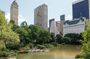 Central Park and 5th Avenue Walking Tour