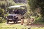 3 Days 2 Nights Garden Route Private Tour from Cape Town
