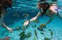 Puerto Plata Snorkeling Tour