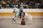 Andalusian Horses and Flamenco show with transportation