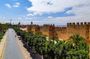 Taroudant + Tiout excursion 1 day with homestay lunch from agadir