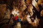 Wombeyan Caves: Wollondilly Cave Guided Tour