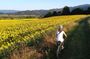 Land of painters - the origins of the Tuscan landscape